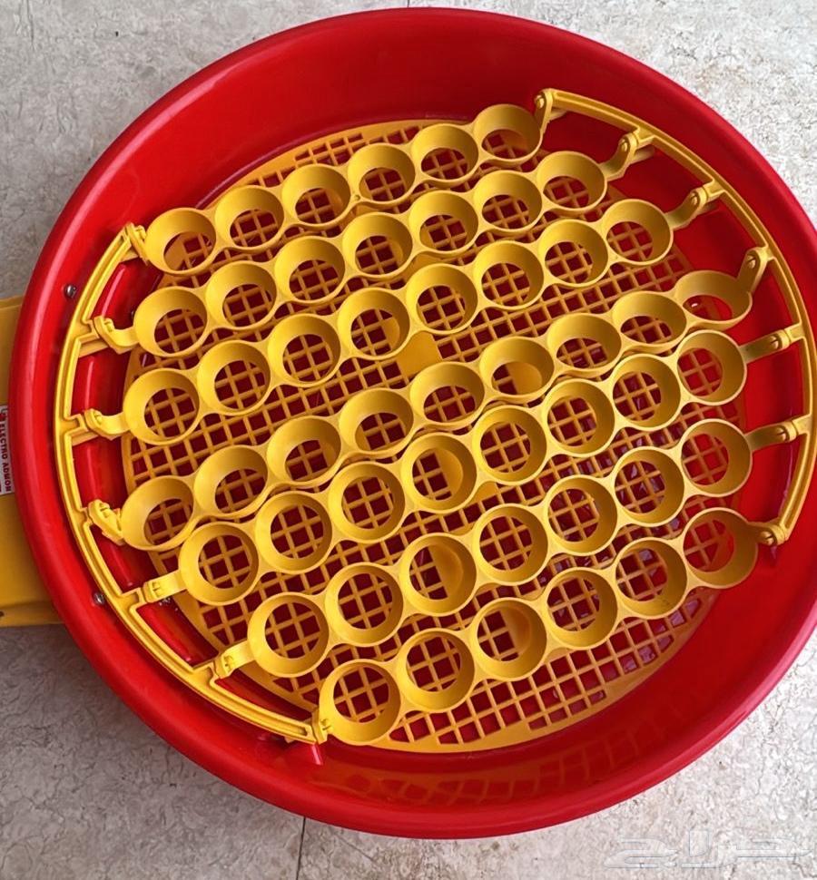 فقاسة أوربية 51 بيضة64432673594371110