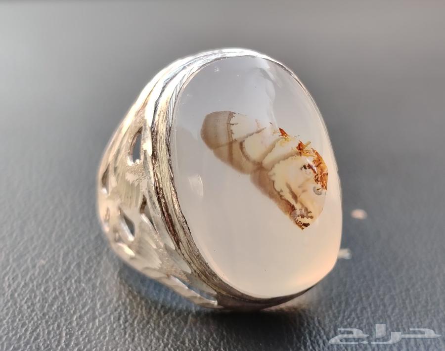 عقيق يماني مصور طائر64432863222273113