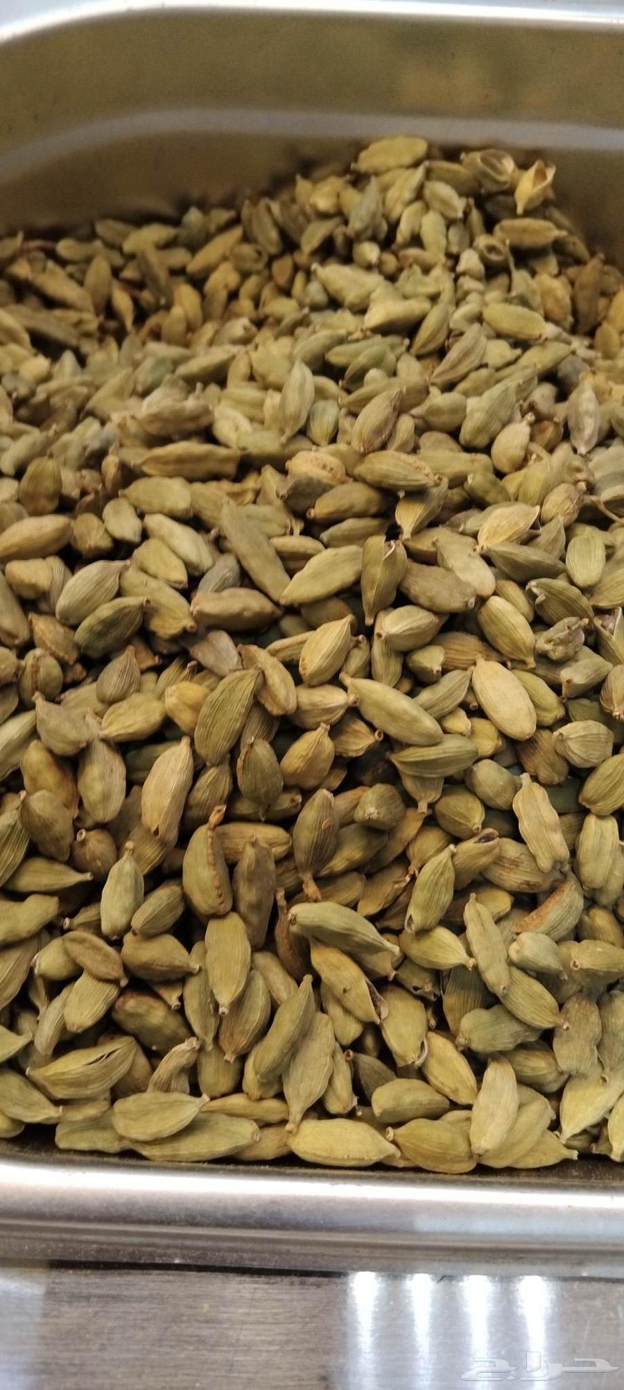 هيل كارتكس امريكي رقم واحد. جامبو. تاريخ جديد ابو دله64432687153794110