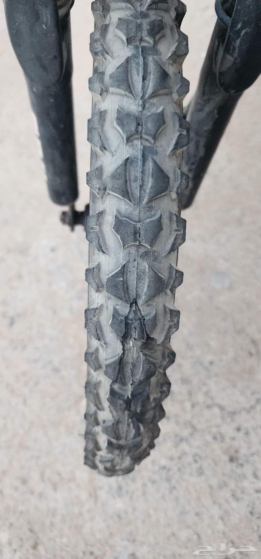 Rambow bicycle for sale size 20 message privately64431156407041112