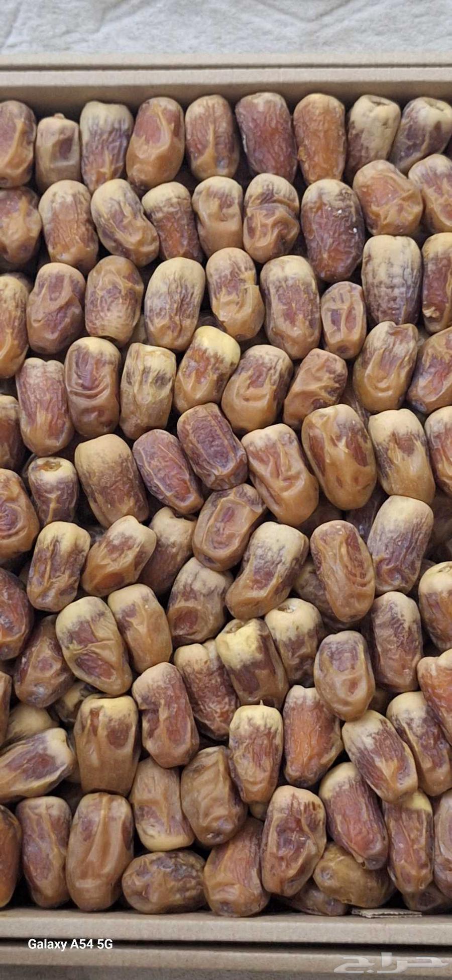 Qassim Dates, Sukkari with Peel64431575678083110