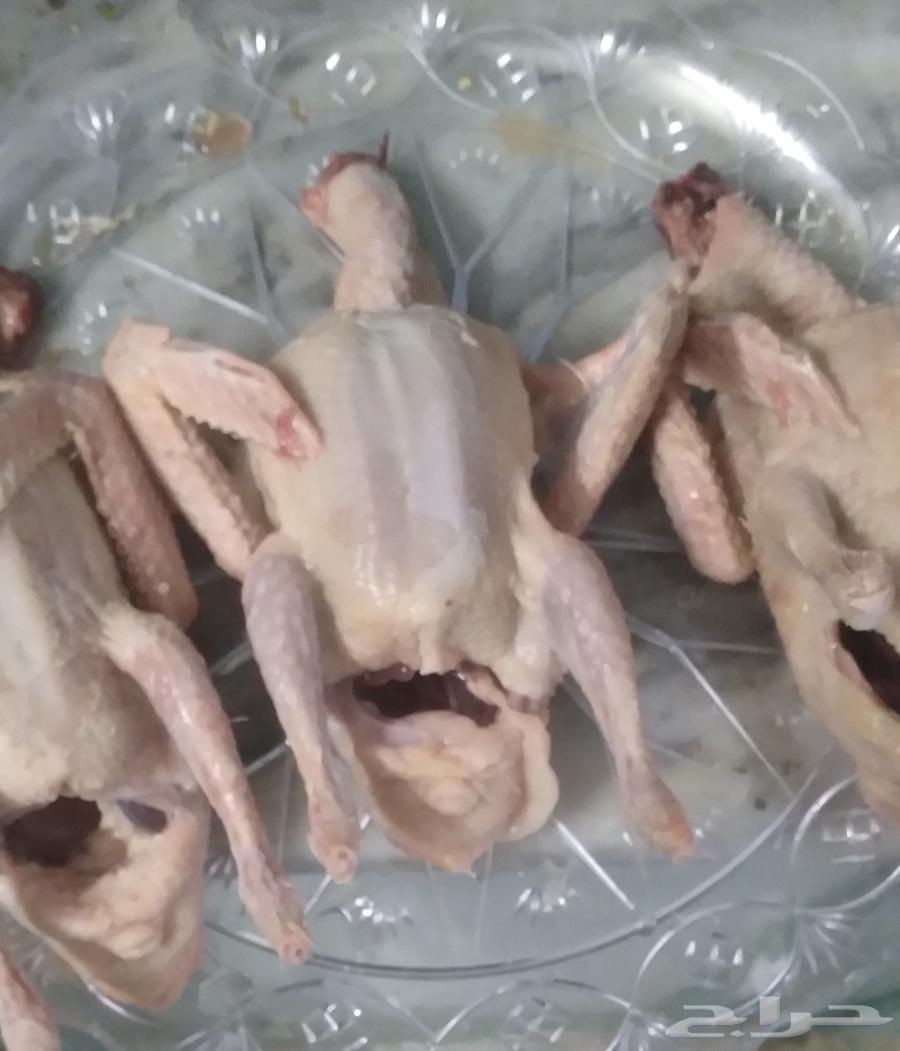 حمام فرنسي حجم جمبو64431896434305110