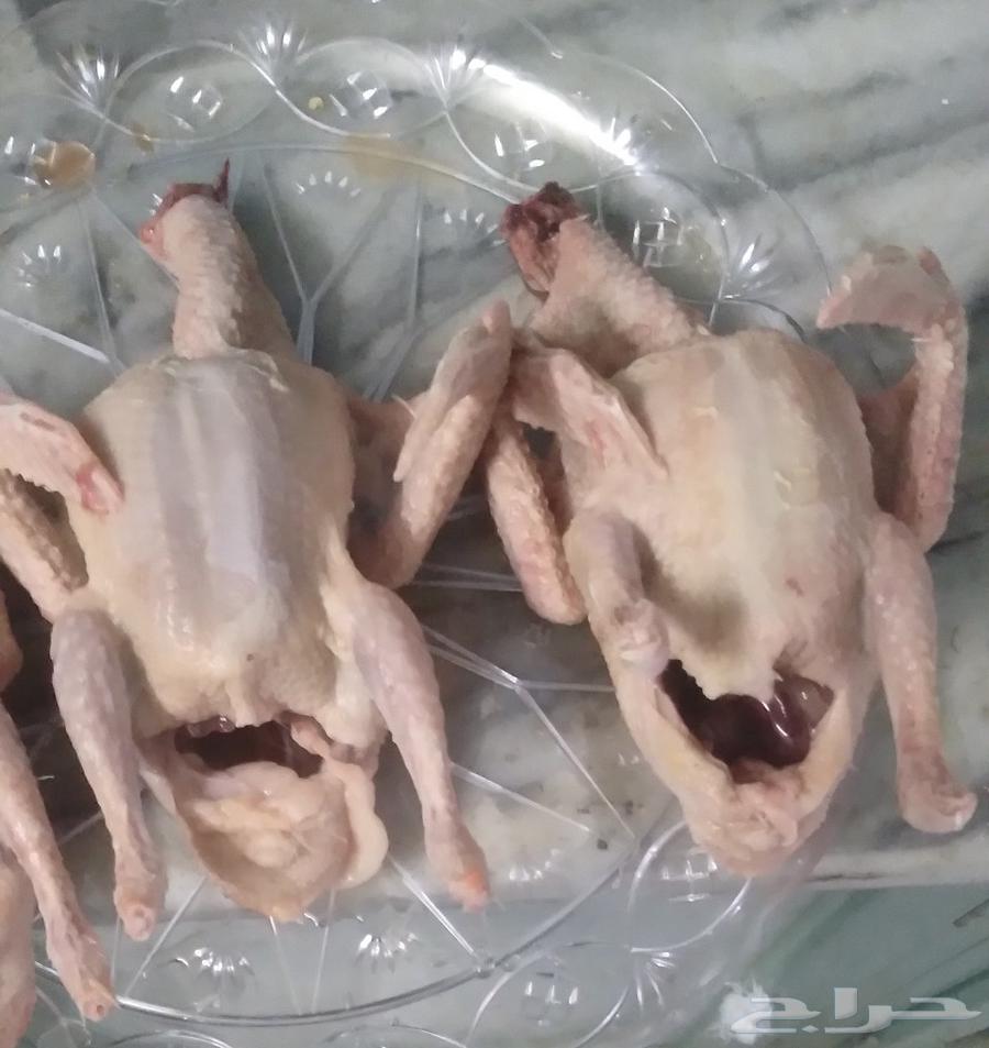 حمام فرنسي حجم جمبو64431896434305111