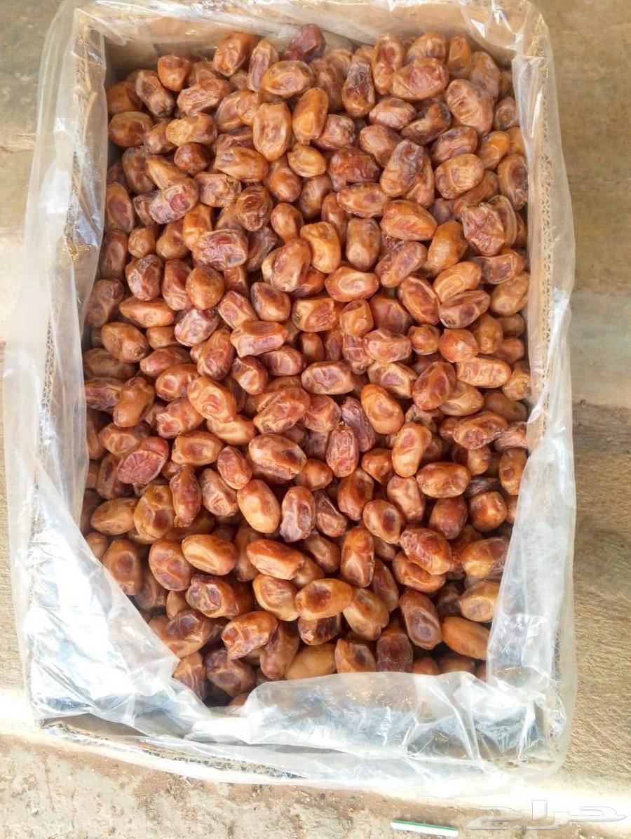 تمر خلاص أشيقر - مزارع الفايز64433323751682110