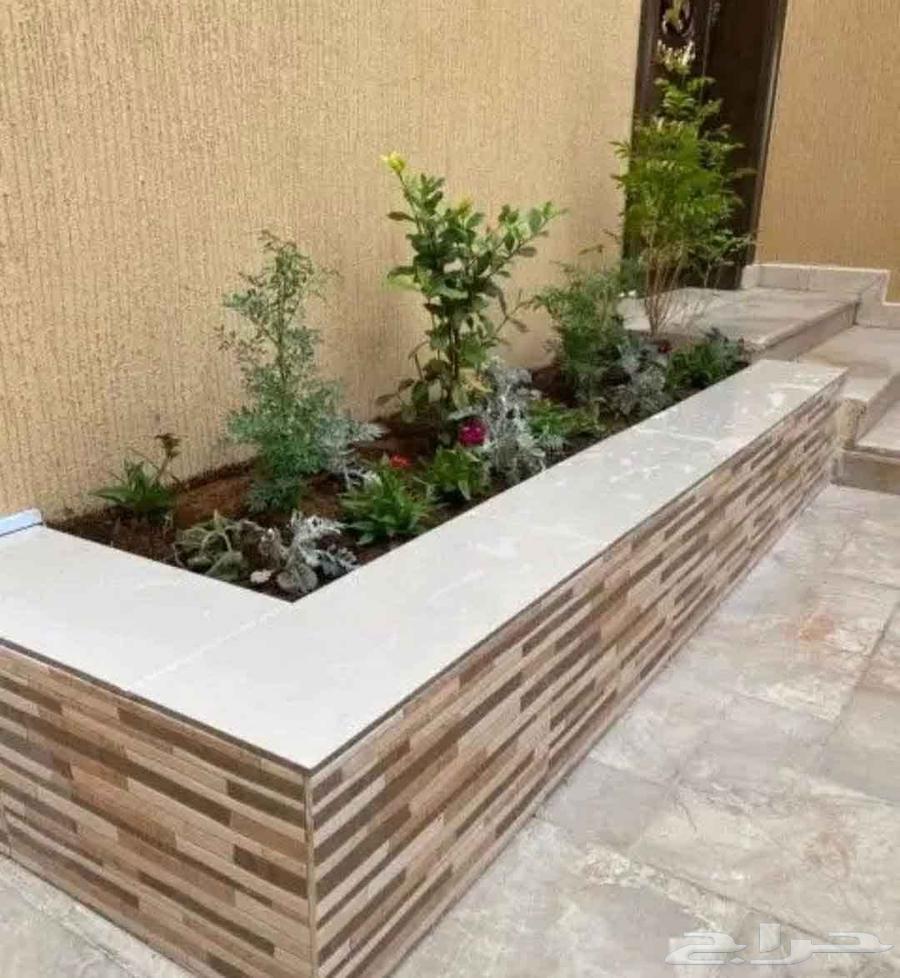 عشب طبيعي درجه اولي64441130996738110