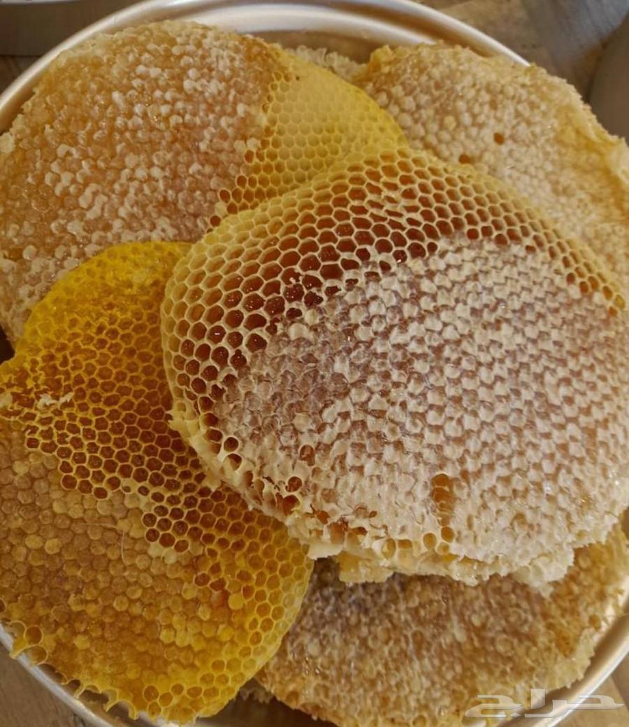 عسل سدر جنوبي64438216986626114