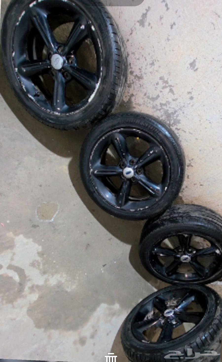 جنوط موستنق64593839210883111