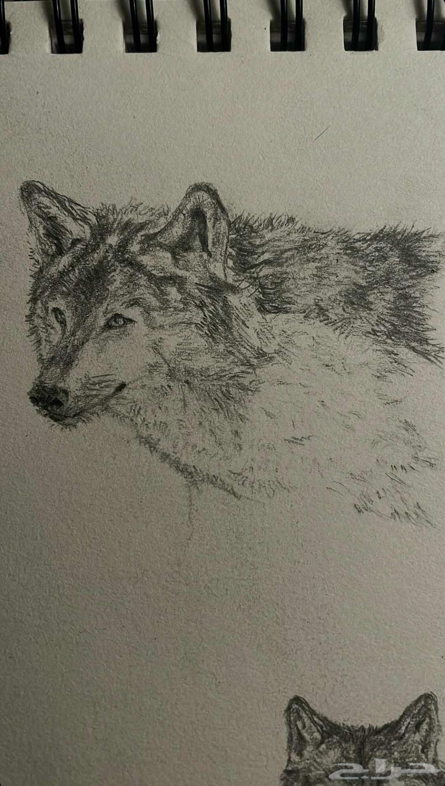 Drawing 100 Riyals64439009400835112