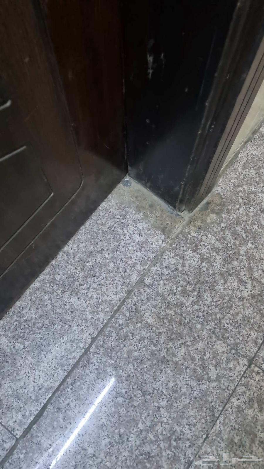 Parquet64439650854785111