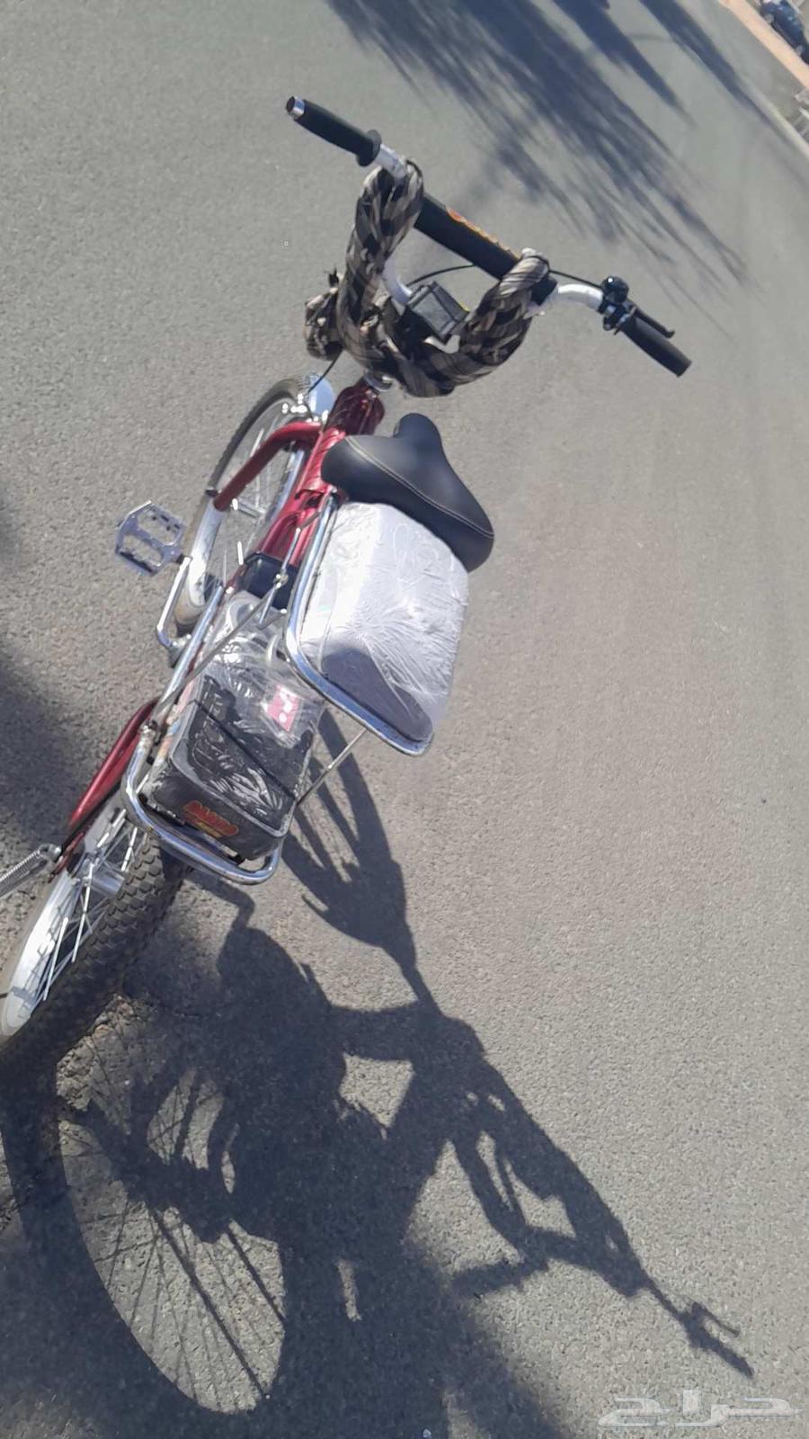 سيكل رامبو عنابي64440981816578113