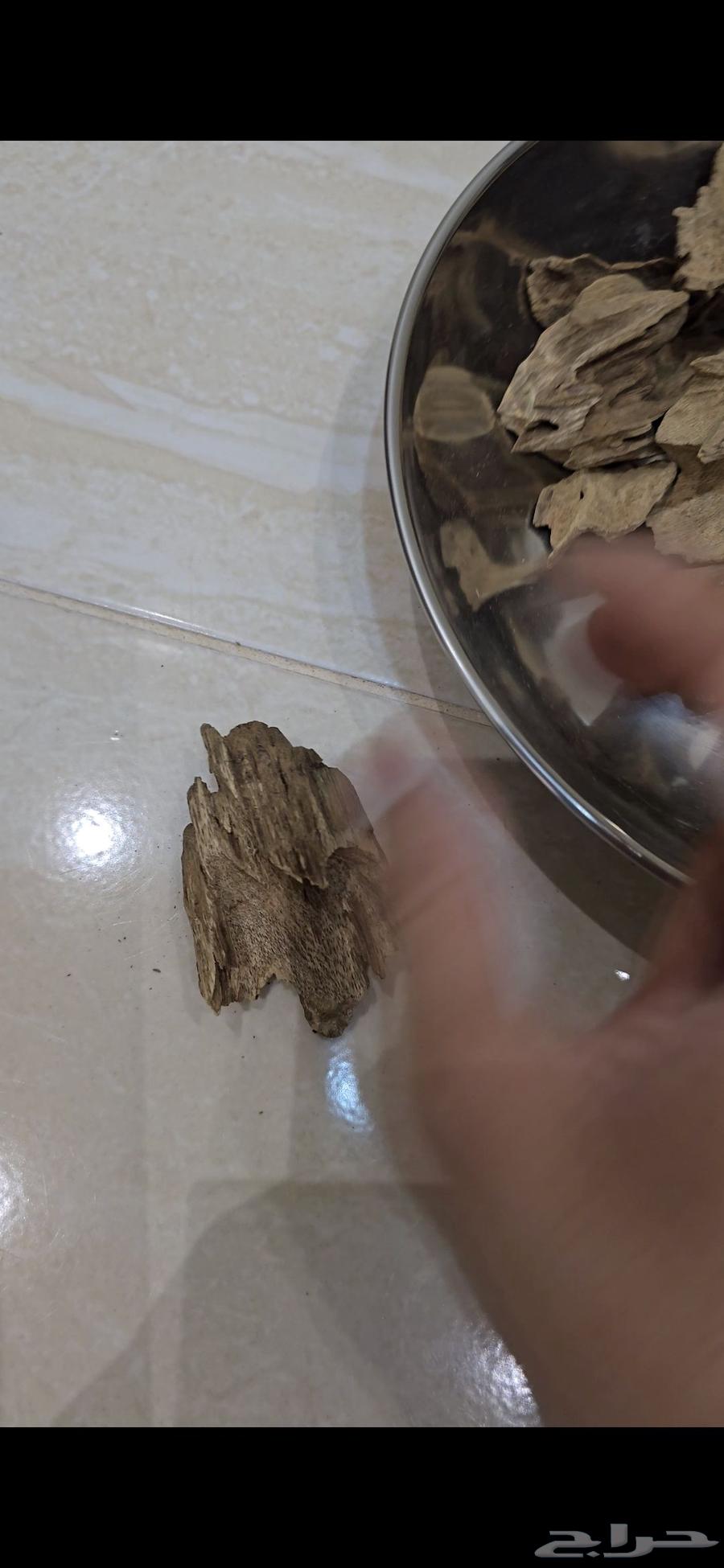 عود الرياني قديم 85 قرام64439091694594110