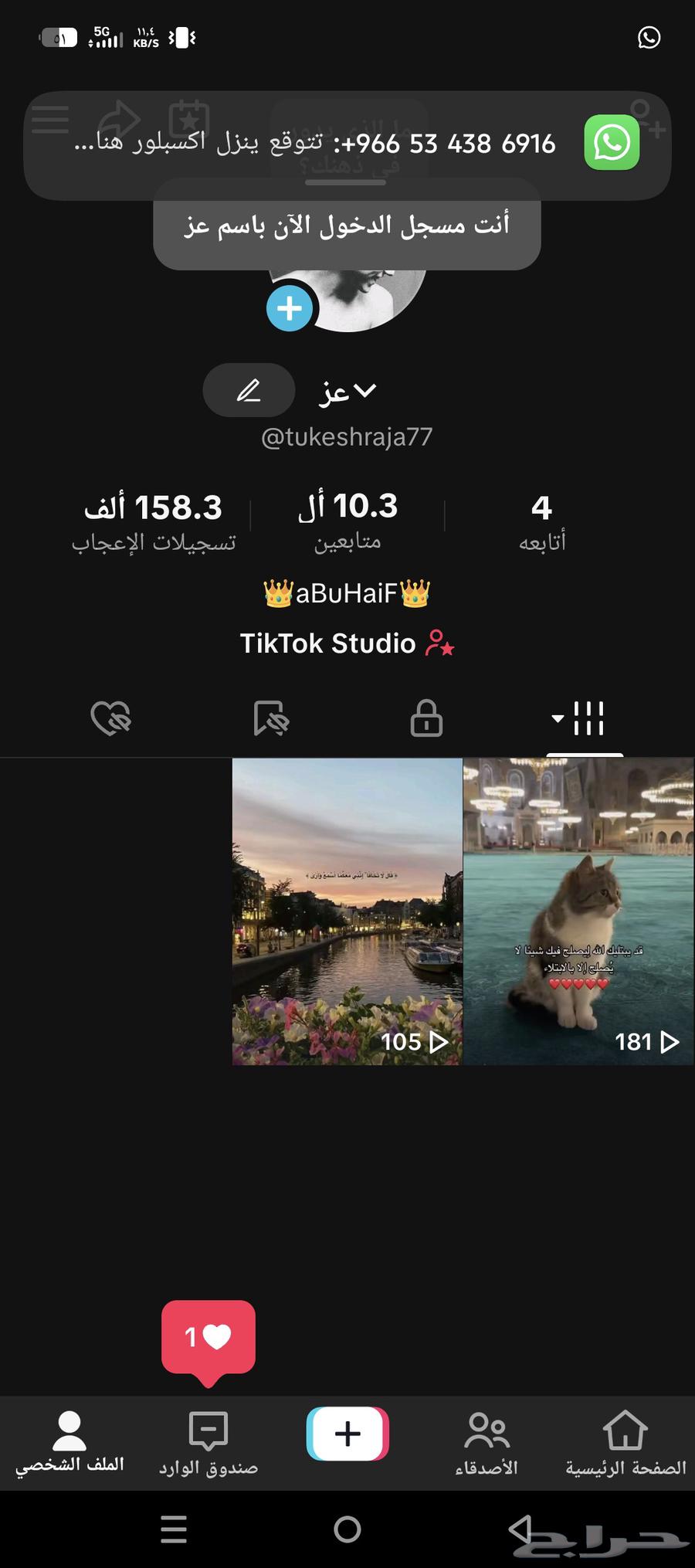 Two TikTok accounts for sale, price per unit, location Tabuk64440042853635111
