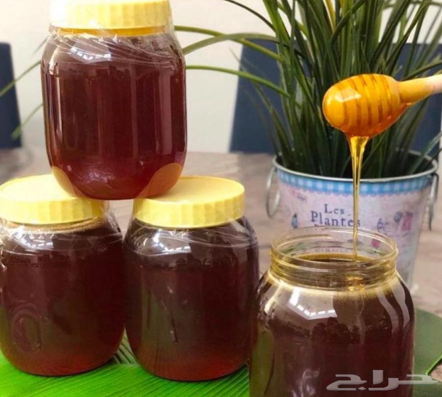 عسل سدر جنوبي64438216986626113