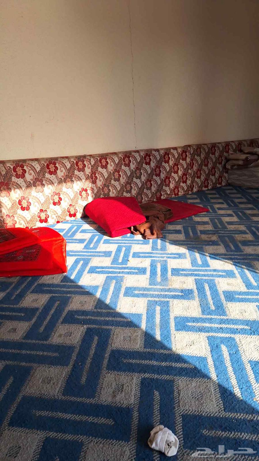 للبيع متاكي ظهريا مجلس 4 7 اللون احمر64435095456129110