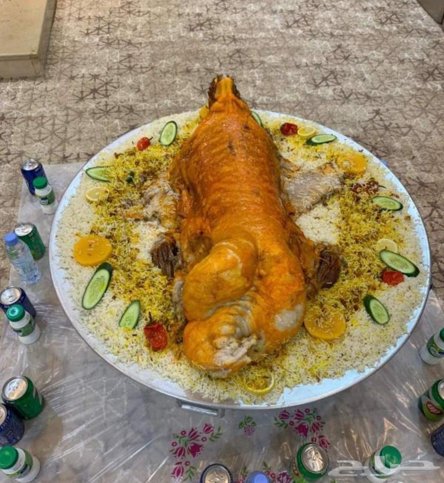 طباخ متنقل64236952715010110