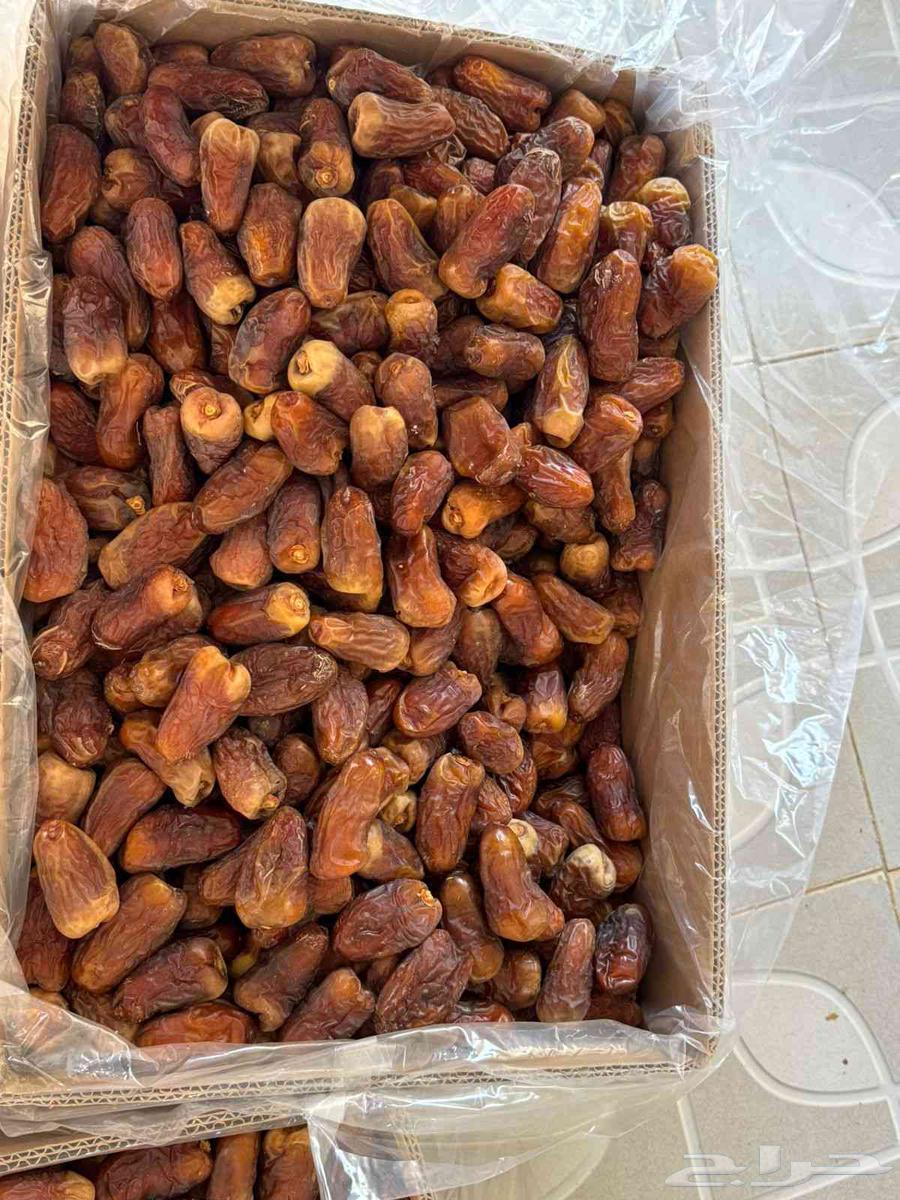 برني العيص الفاخر كراتين64441171872259111