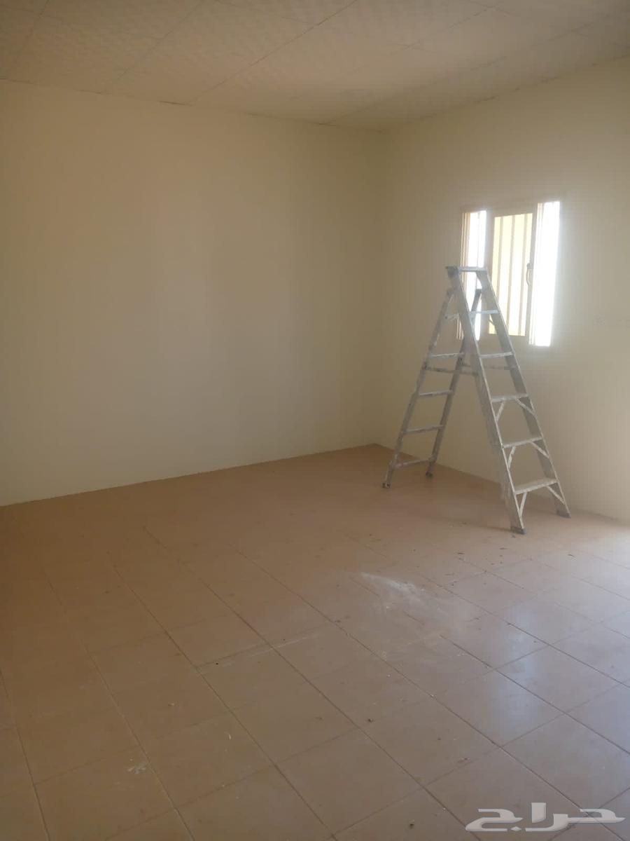 شغل دهانات سيراميك بنا ابني مجلس باكستاني64403916197121111