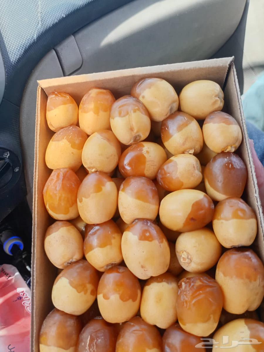 رطب هلالي للبيع64436588063874110