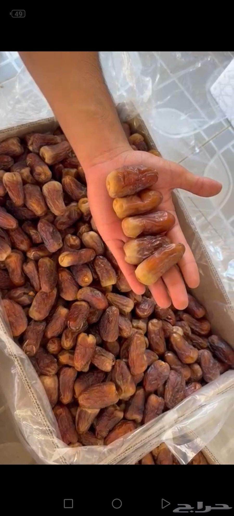 برني العيص الفاخر كراتين64441171872259110