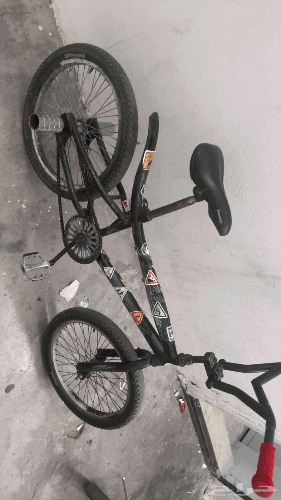 دراجه كوبرا كامل السعر 20064436306578435110