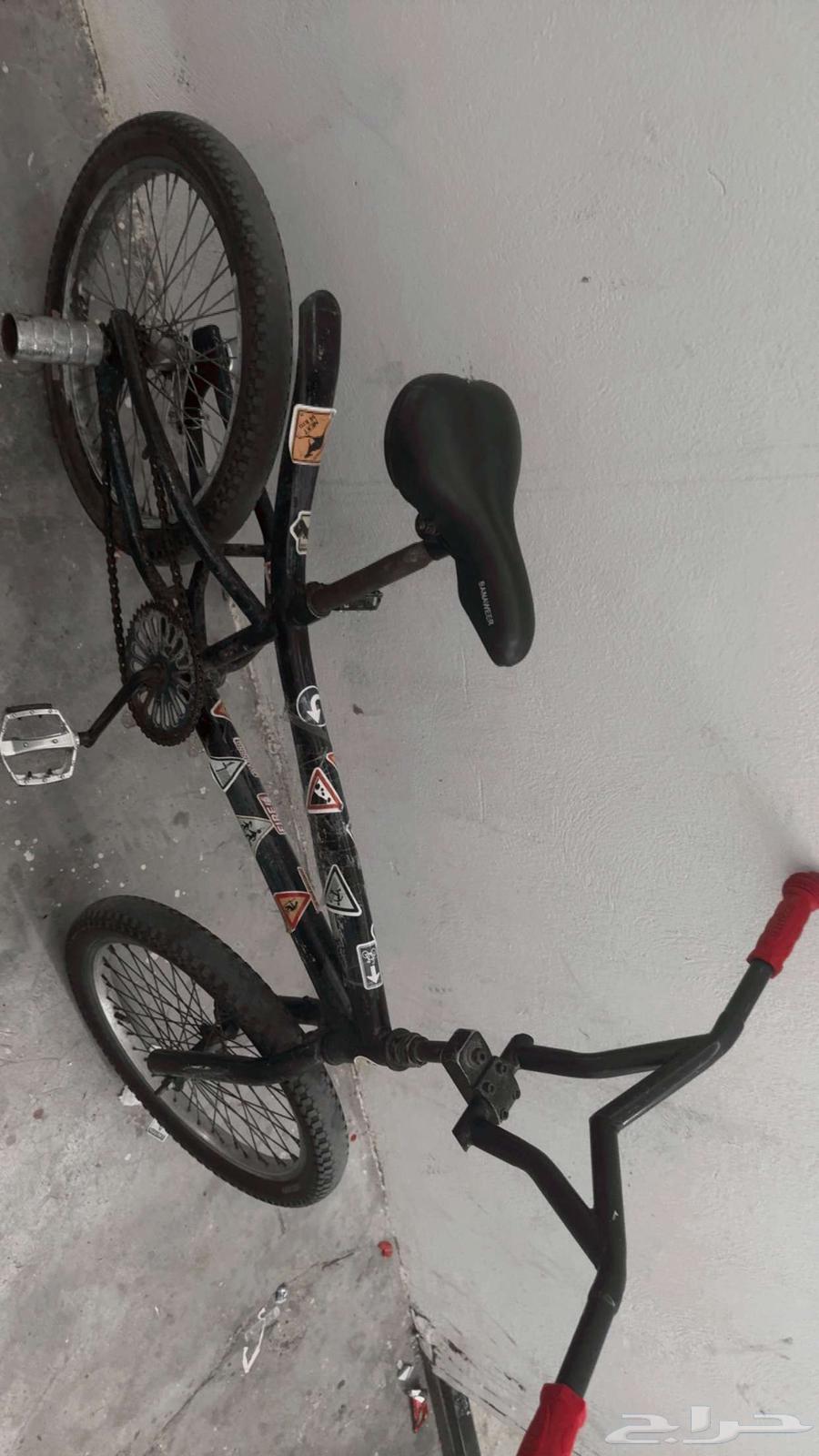 دراجه كوبرا كامل السعر 20064436306578435111