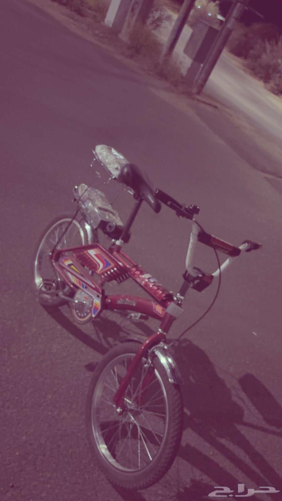 سيكل رامبو عنابي64440981816578110