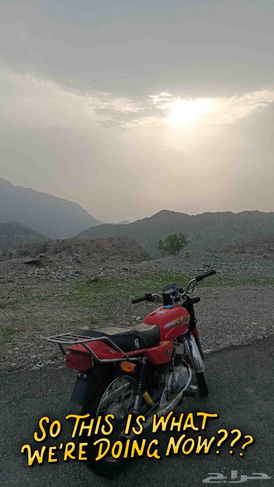 دباب x10064595733876099113