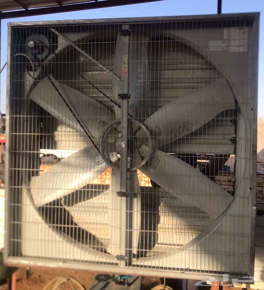 مروحة بيت محمي إيطالية بحائل64439692057730110