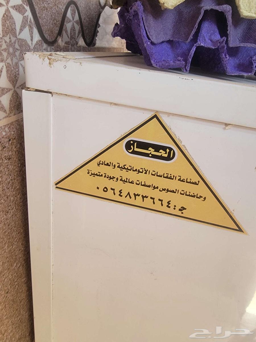 للبيع للبيع عاجل فقاسه64438645590659114