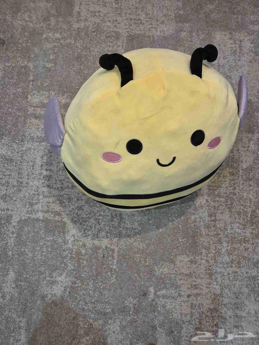 دبدوب سكويش ميلو64437301921155113