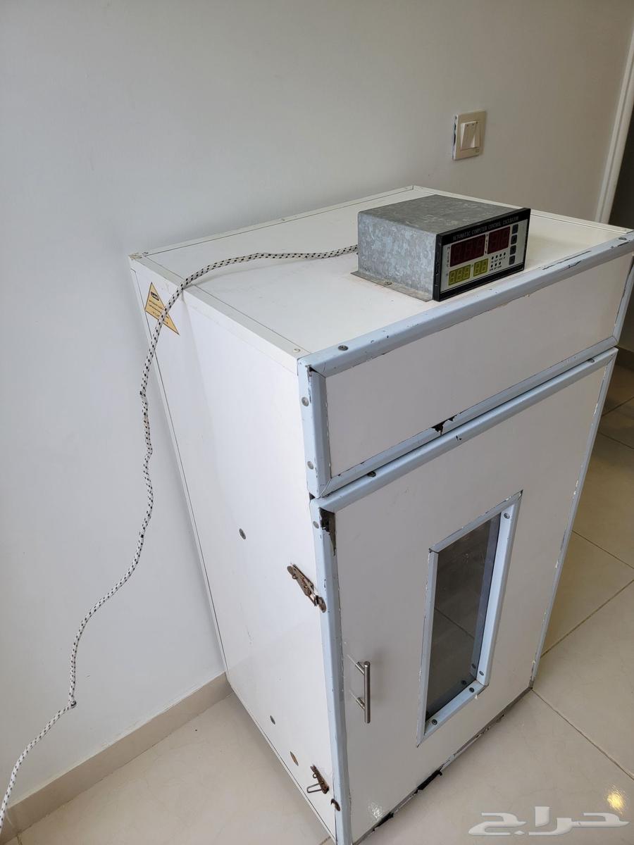 للبيع للبيع عاجل فقاسه64438645590659111