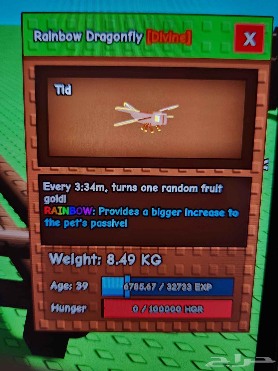 راكون رينبو دراقون فلاي رينبو و تيركس ميغا بماب المزرعة64437382726401113