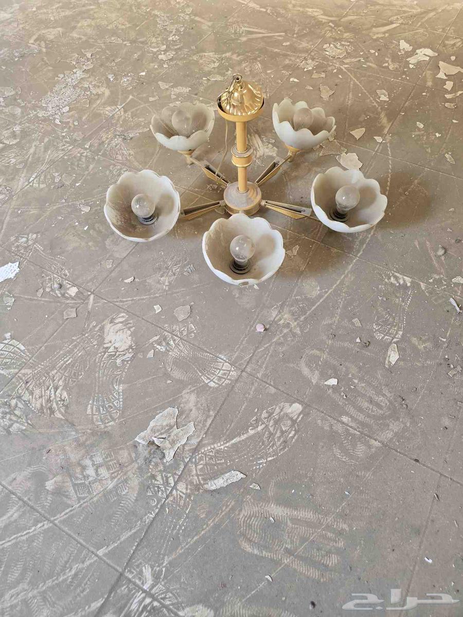 نجف فخم64439389164418110