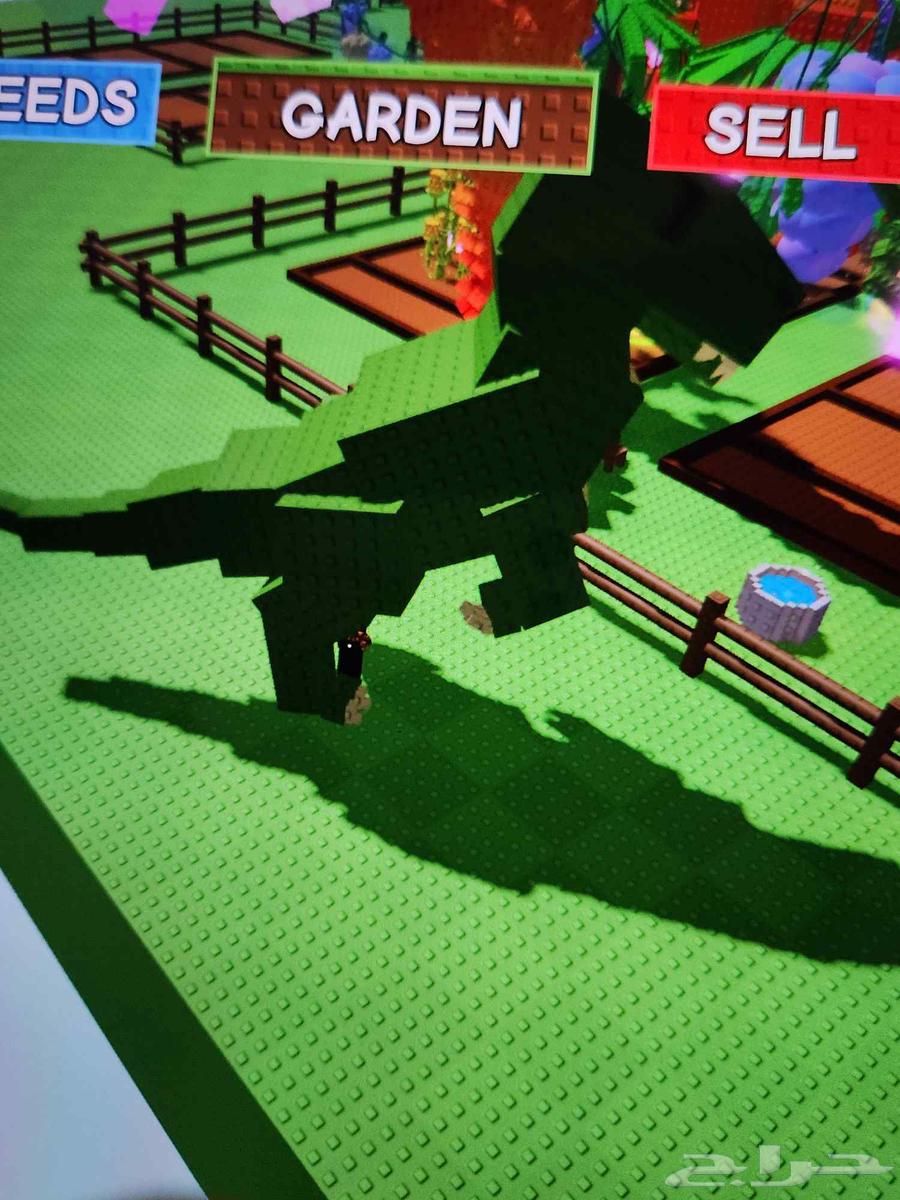 راكون رينبو دراقون فلاي رينبو و تيركس ميغا بماب المزرعة64437382726401114