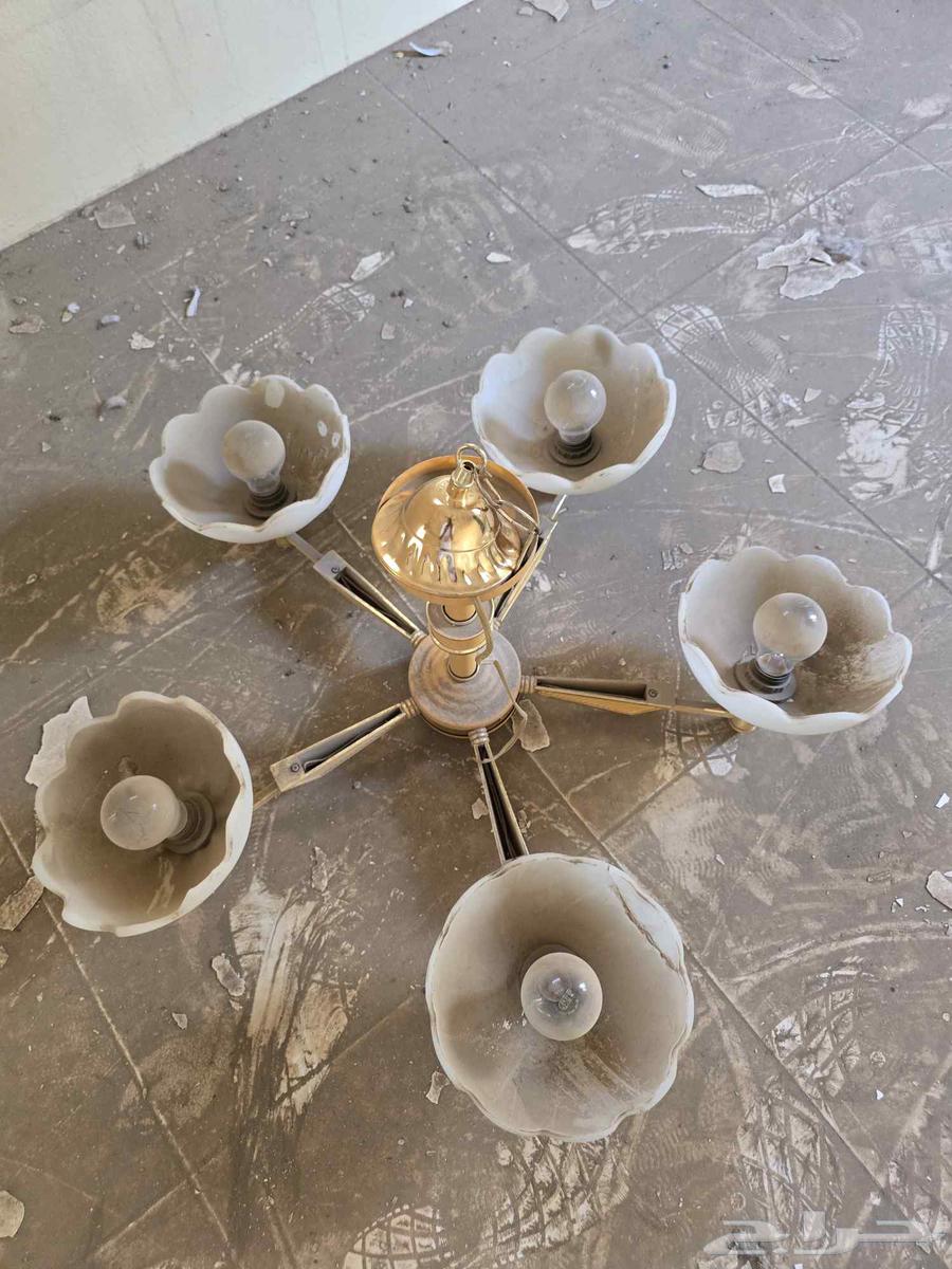 نجف فخم64439389164418112