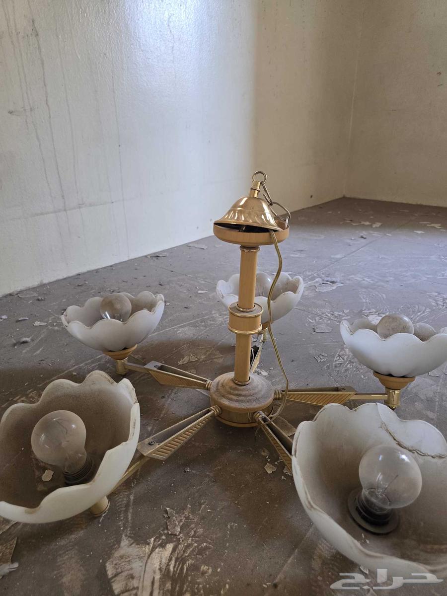 نجف فخم64439389164418111