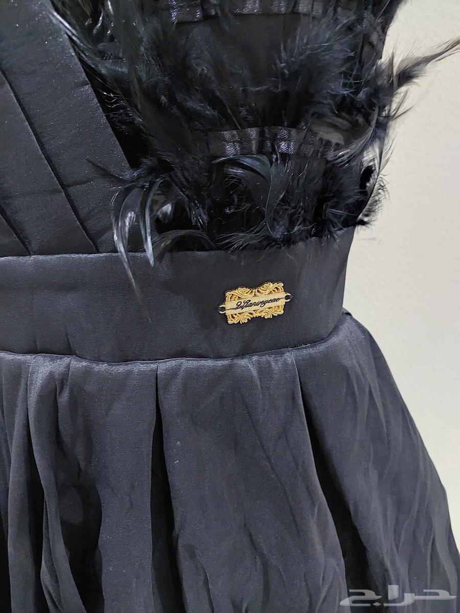فستان سواريه كتف الريش الأسود64432809261698112