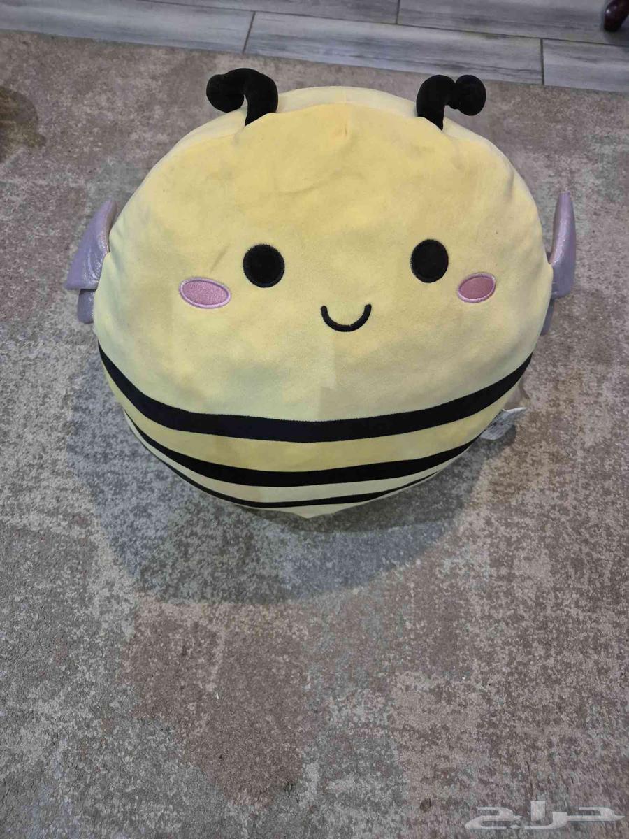 دبدوب سكويش ميلو64437301921155110