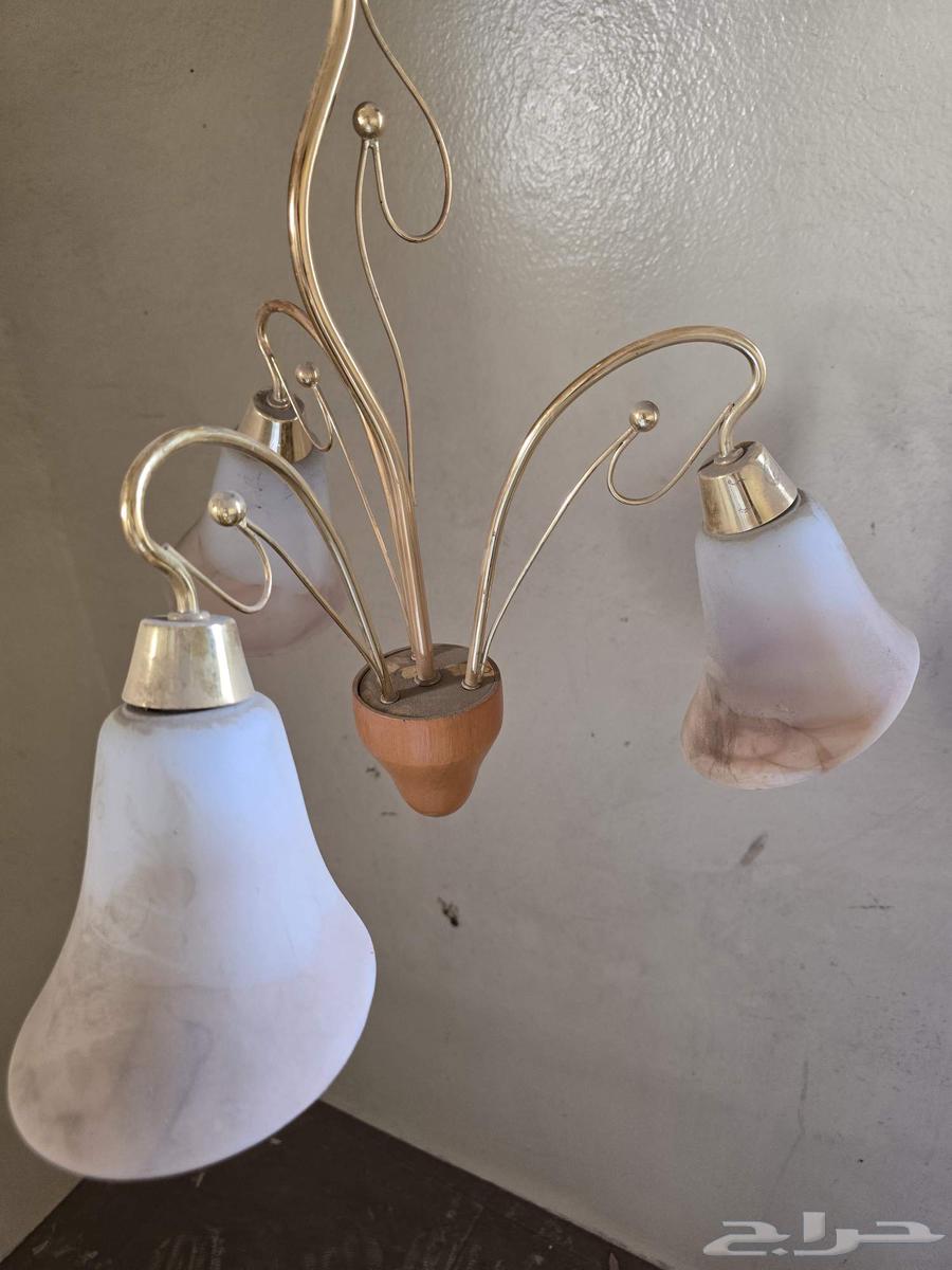 نجف فخم64439389164418113