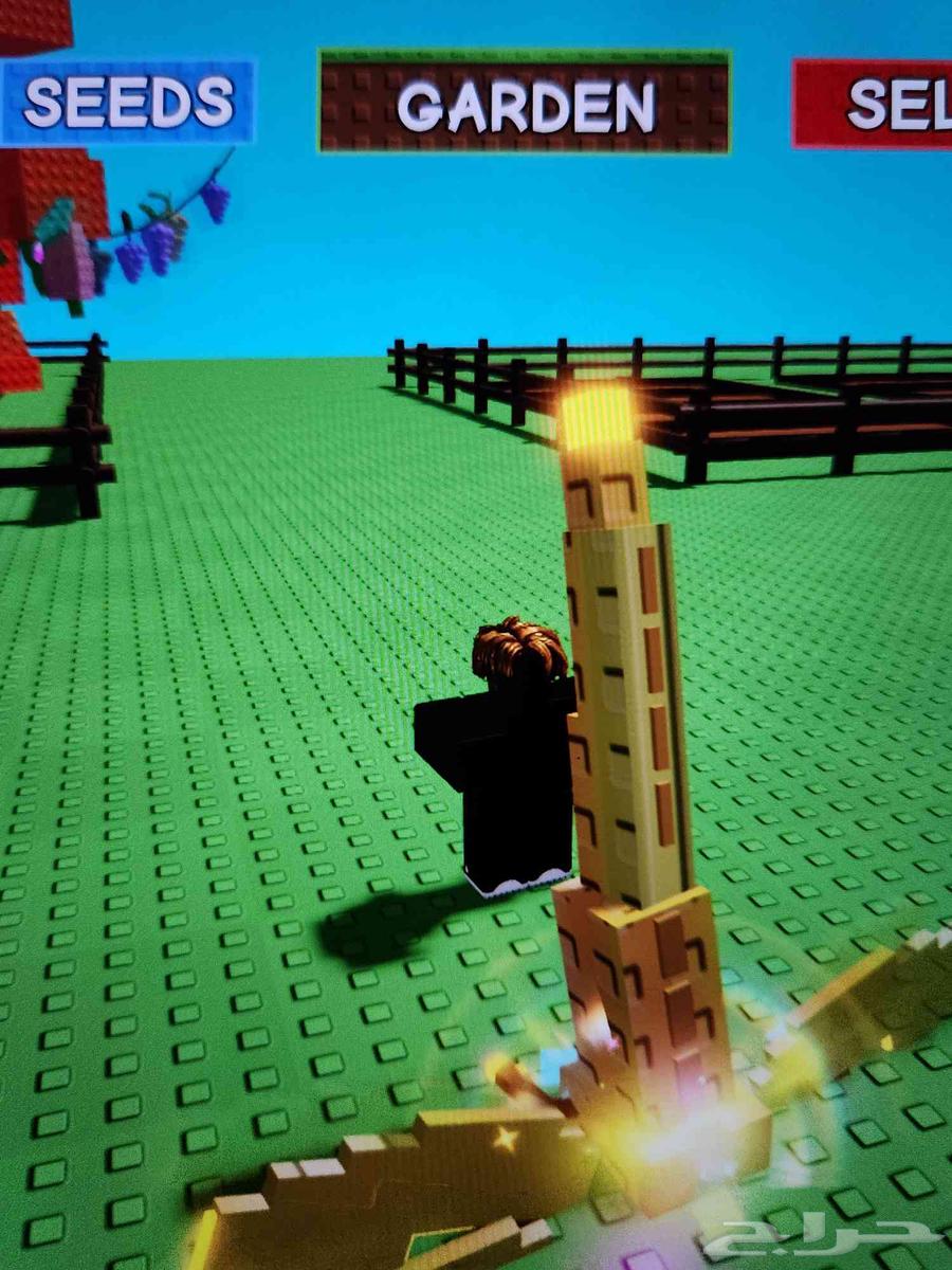 راكون رينبو دراقون فلاي رينبو و تيركس ميغا بماب المزرعة64437382726401112