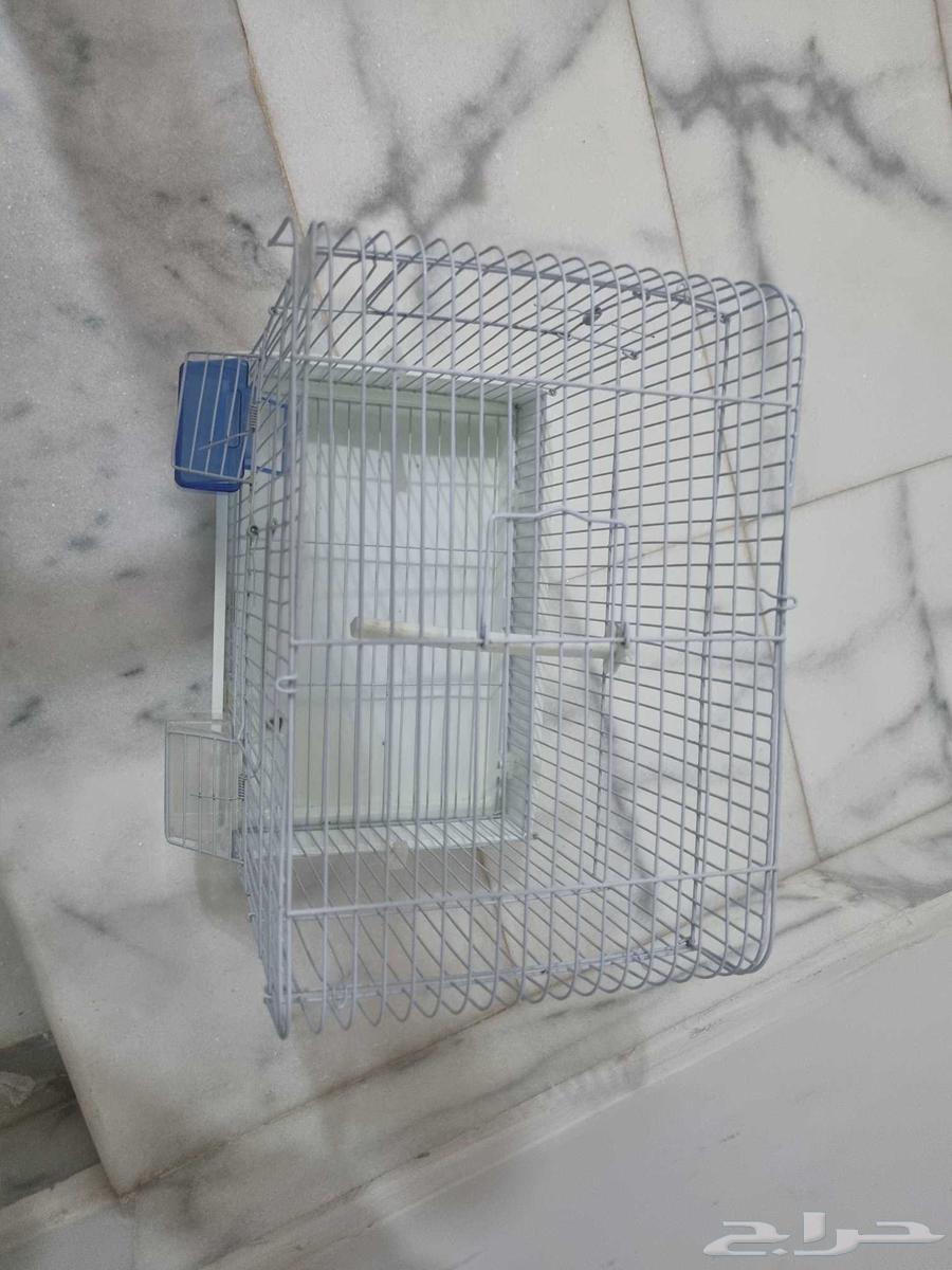قفصين للبيع64436453775746110