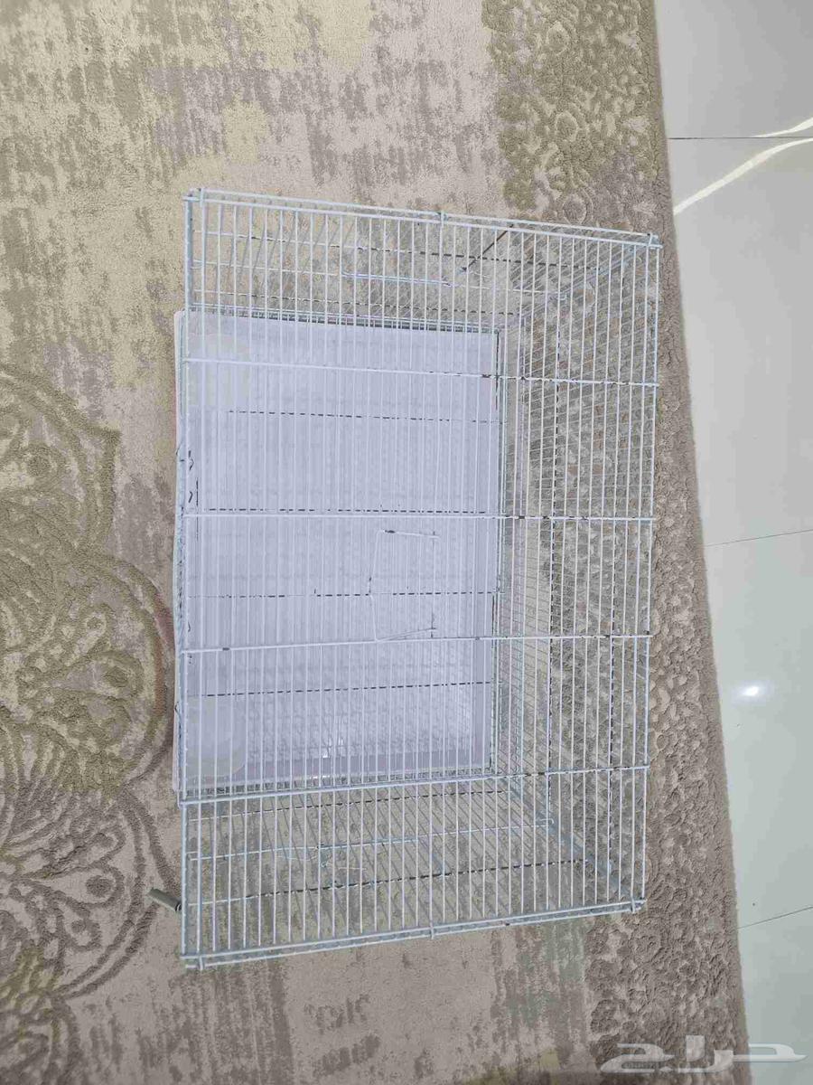 قفصين للبيع64436453775746113