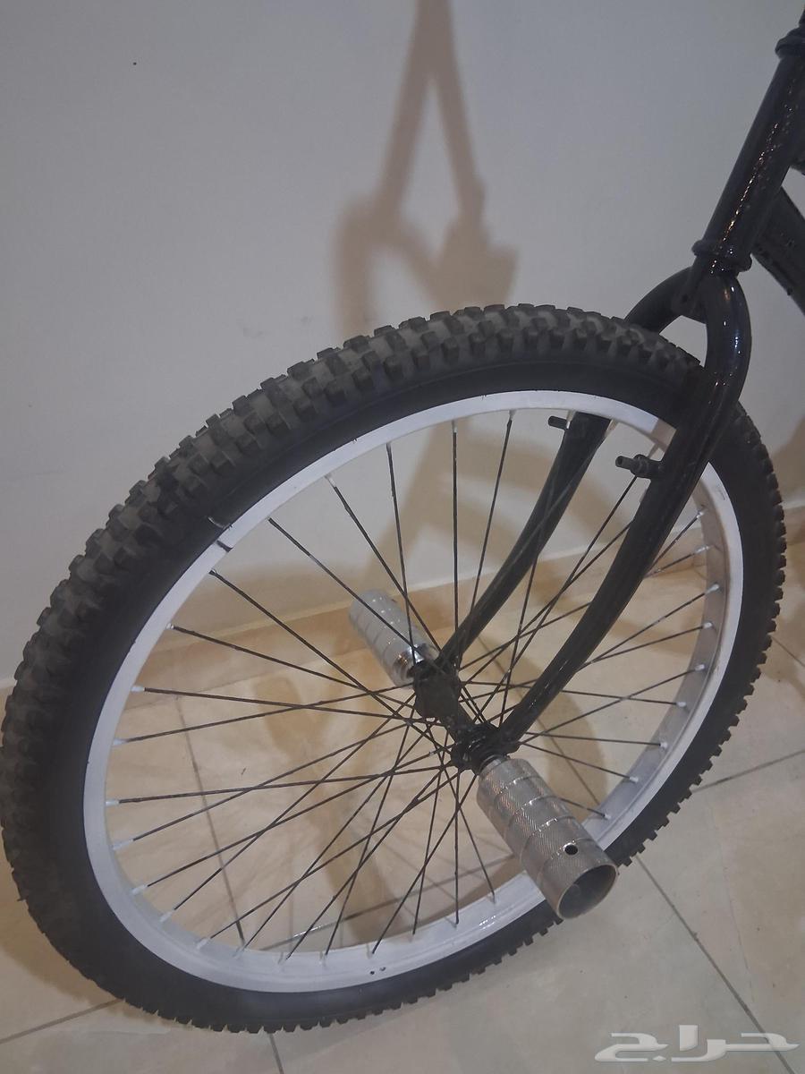 Butterfly bicycle size 2664440124005123111