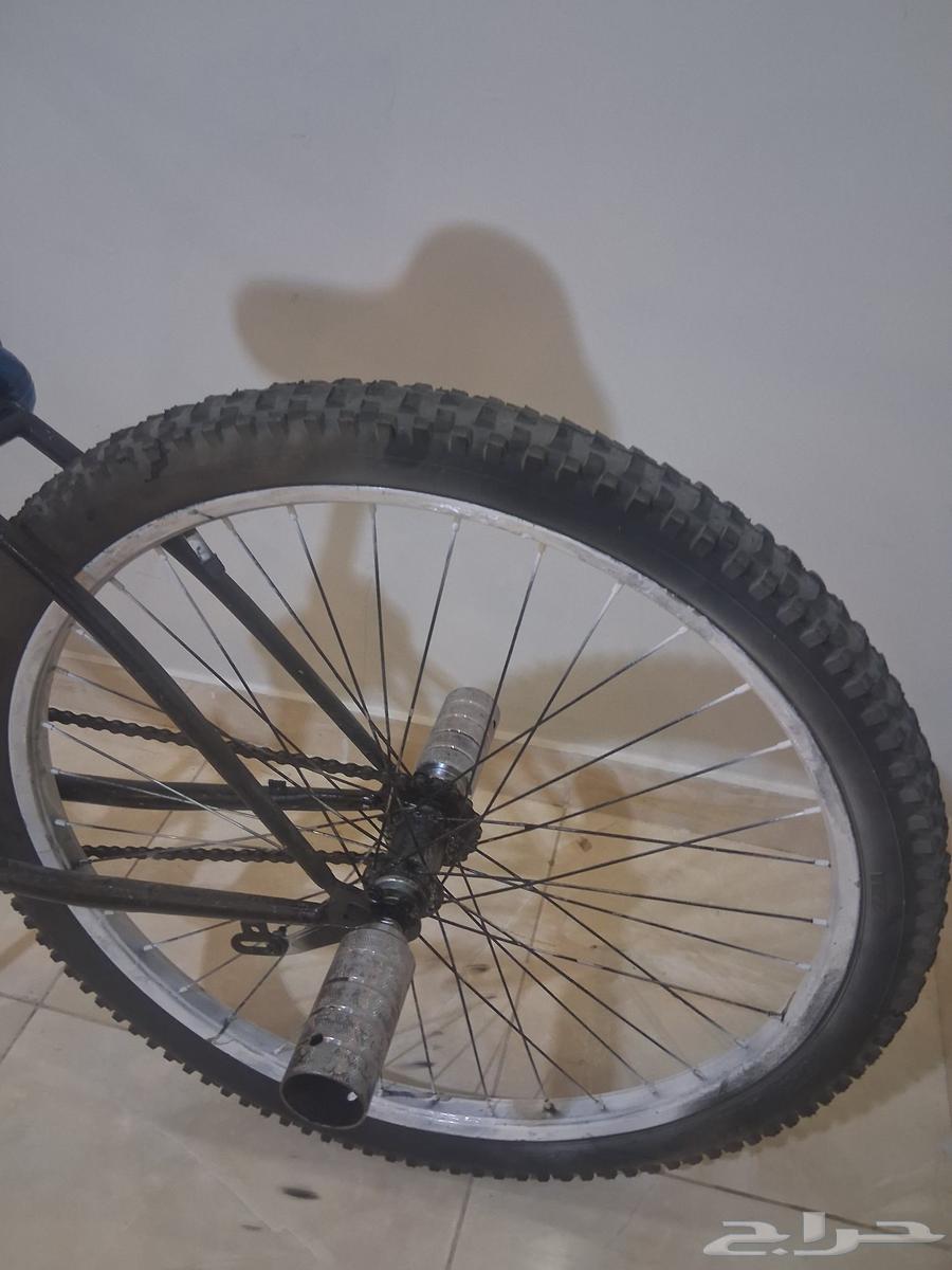 Butterfly bicycle size 2664440124005123112