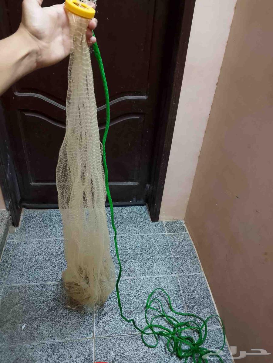 للبيع مخدجة صيد64436655237123110