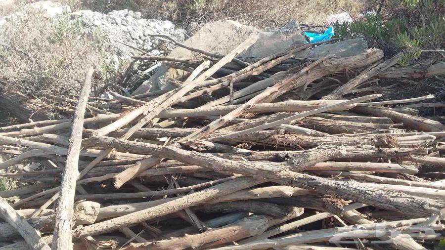 يوجدخشب قديم للبيع الباحه سعرمناسب للتفاهم واتساب64438780204675112