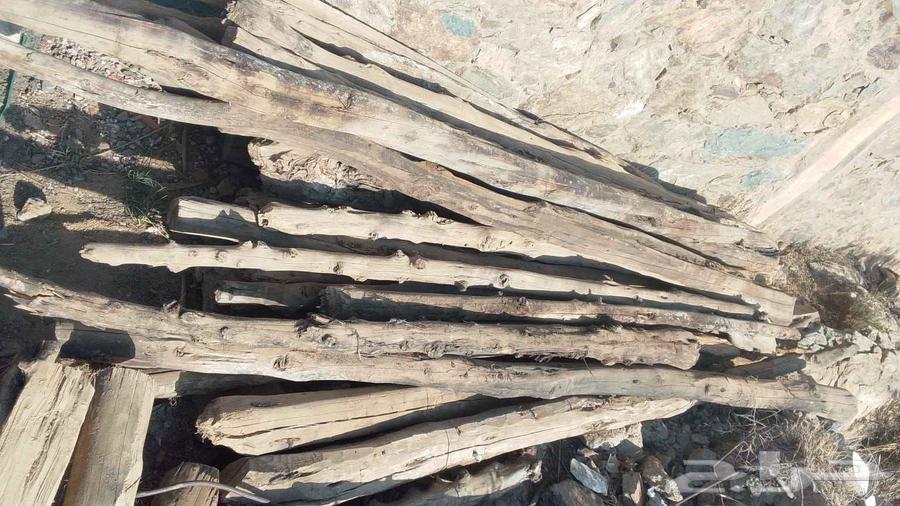 يوجدخشب قديم للبيع الباحه سعرمناسب للتفاهم واتساب64438780204675113