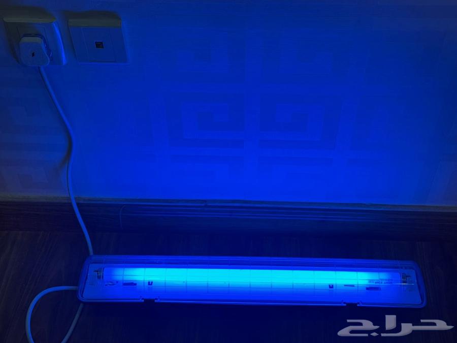 لمبة لعلاج اليرقان (الصفاري)64436199368067111