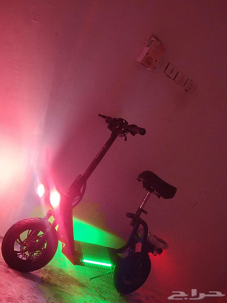 Scooter64433619898498113