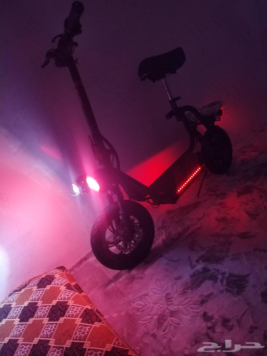 Scooter64433619898498114